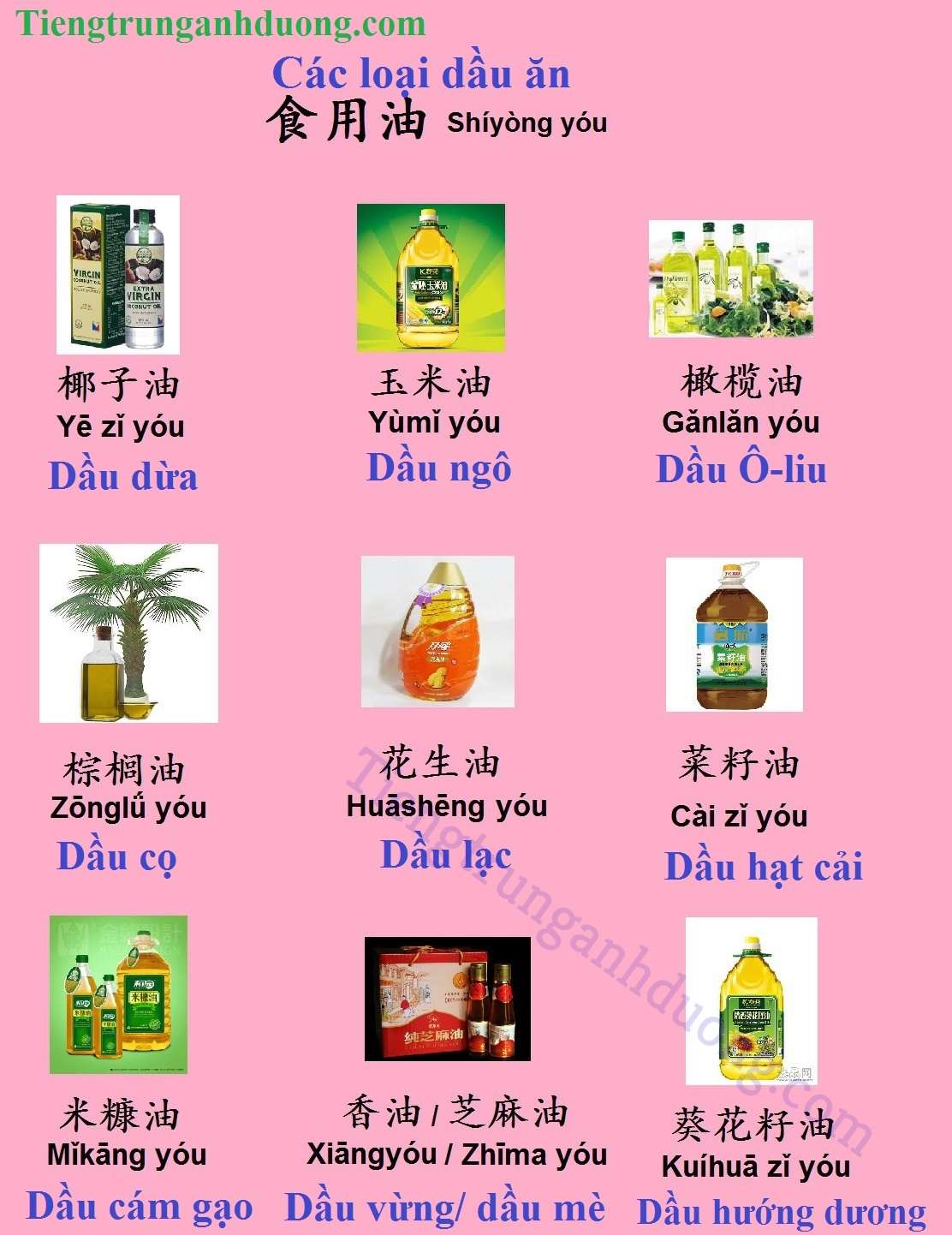 Các loại dầu ăn trong tiếng Trung