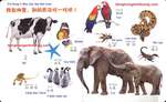 Từ vựng tiếng Trung về động vật qua hình ảnh