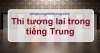 Thì tương lai trong tiếng Trung Thì tương lai trong tiếng Trung