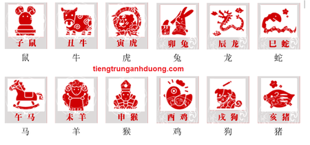 Truyền thuyết về 12 con giáp trong tiếng Trung Truyền thuyết về 12 con giáp trong tiếng Trung