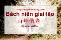 Tìm hiểu về bách niên giai lão Tìm hiểu về bách niên giai lão