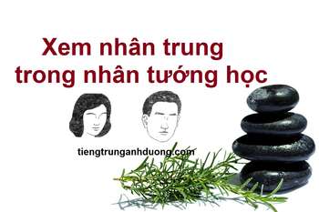 Nhân Trung là gì? Cách xem nhân trung trong nhân tướng học Nhân Trung là gì? Cách xem nhân trung trong nhân tướng học