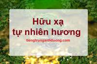 Tìm hiểu về hữu xạ tự nhiên hương Tìm hiểu về hữu xạ tự nhiên hương