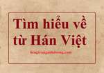 Từ Hán Việt trong ngôn ngữ tiếng Việt