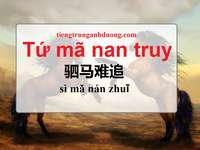 Tứ mã nan truy là gì? Tìm hiểu ý nghĩa thành ngữ tứ mã nan truy Tứ mã nan truy là gì? Tìm hiểu ý nghĩa thành ngữ tứ mã nan truy