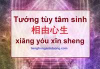 Tìm hiểu về câu nói tâm sinh tướng 相由心生 xiāng yóu xīn sheng Tìm hiểu về câu nói tâm sinh tướng 相由心生 xiāng yóu xīn sheng