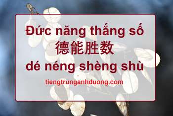Tìm hiểu về Đức năng thắng số 德能胜数 dé néng shèng shù Tìm hiểu về Đức năng thắng số 德能胜数 dé néng shèng shù