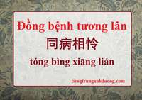 Tìm hiểu thành ngữ Đồng bệnh tương lân 同病相怜 Tìm hiểu thành ngữ Đồng bệnh tương lân 同病相怜