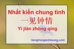 Thành ngữ tiếng Trung: Nhất kiến chung tình 一见钟情 Yí jiàn zhòng qíng